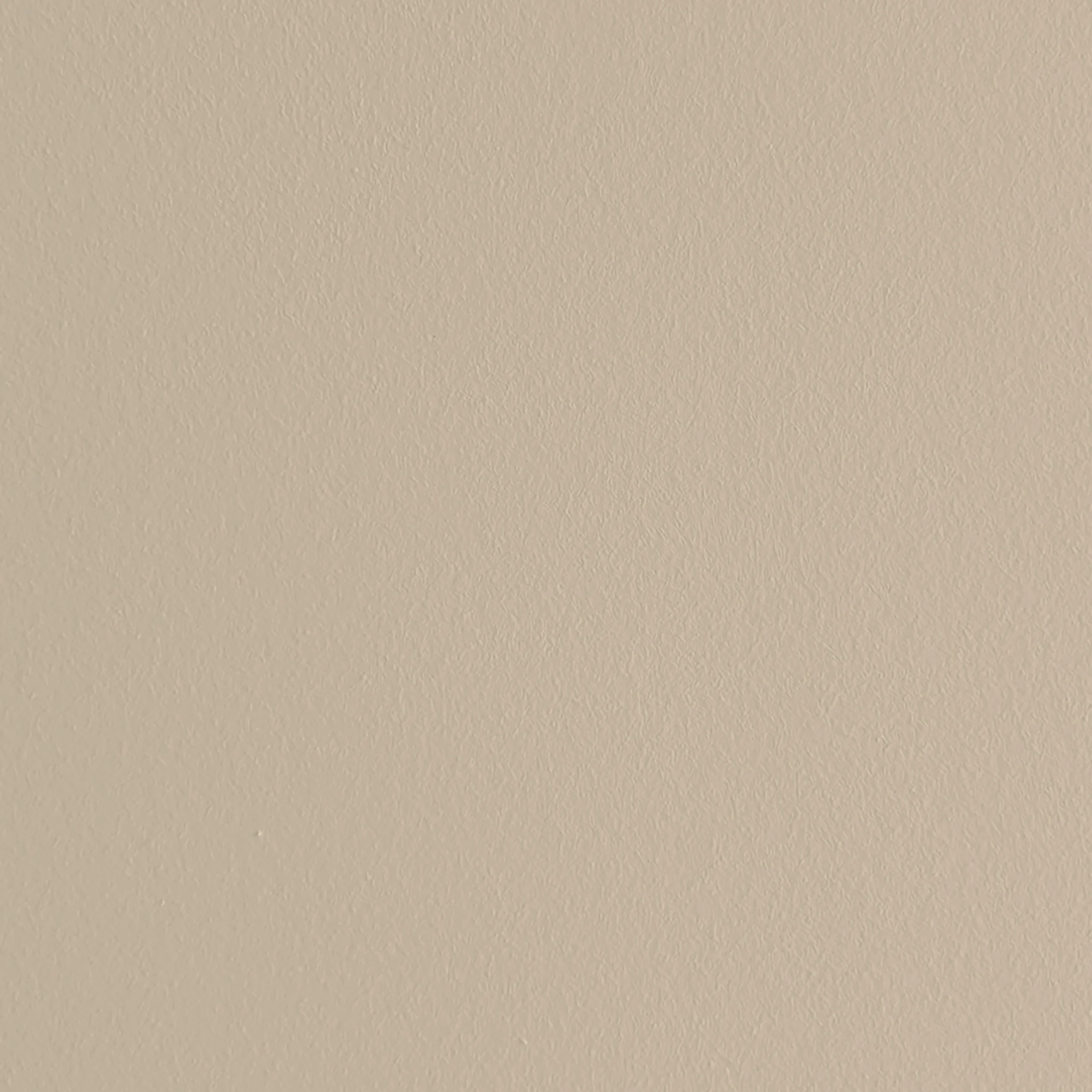 Limepaint texture in Arena 30 colour